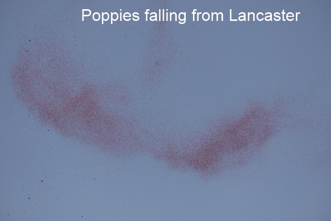 Poppies dropiing over ceremony